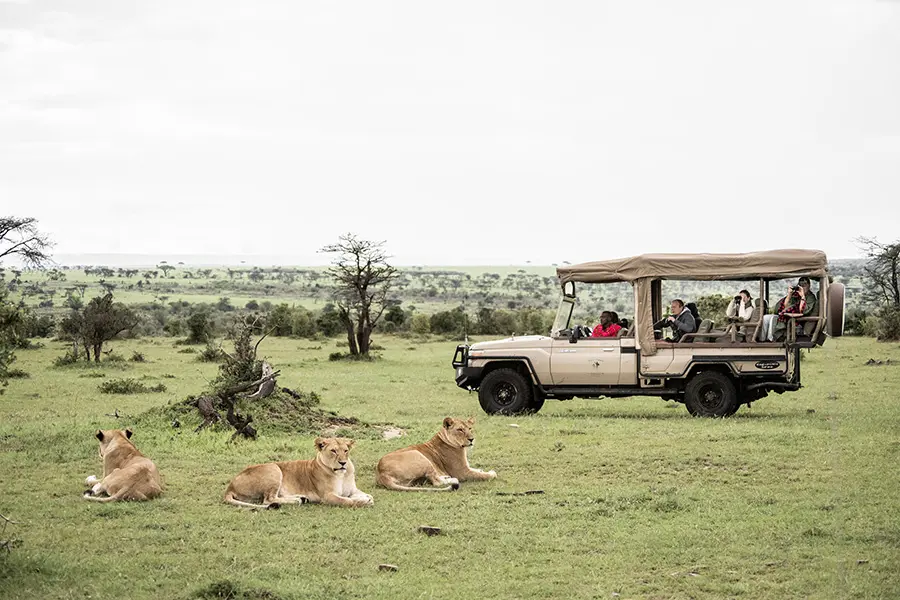 Kenya vs Tanzania: Which Safari Destination is Right for You?